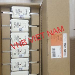 Z2405647561058 726e1a92aea44583181ef720e0ef76f6